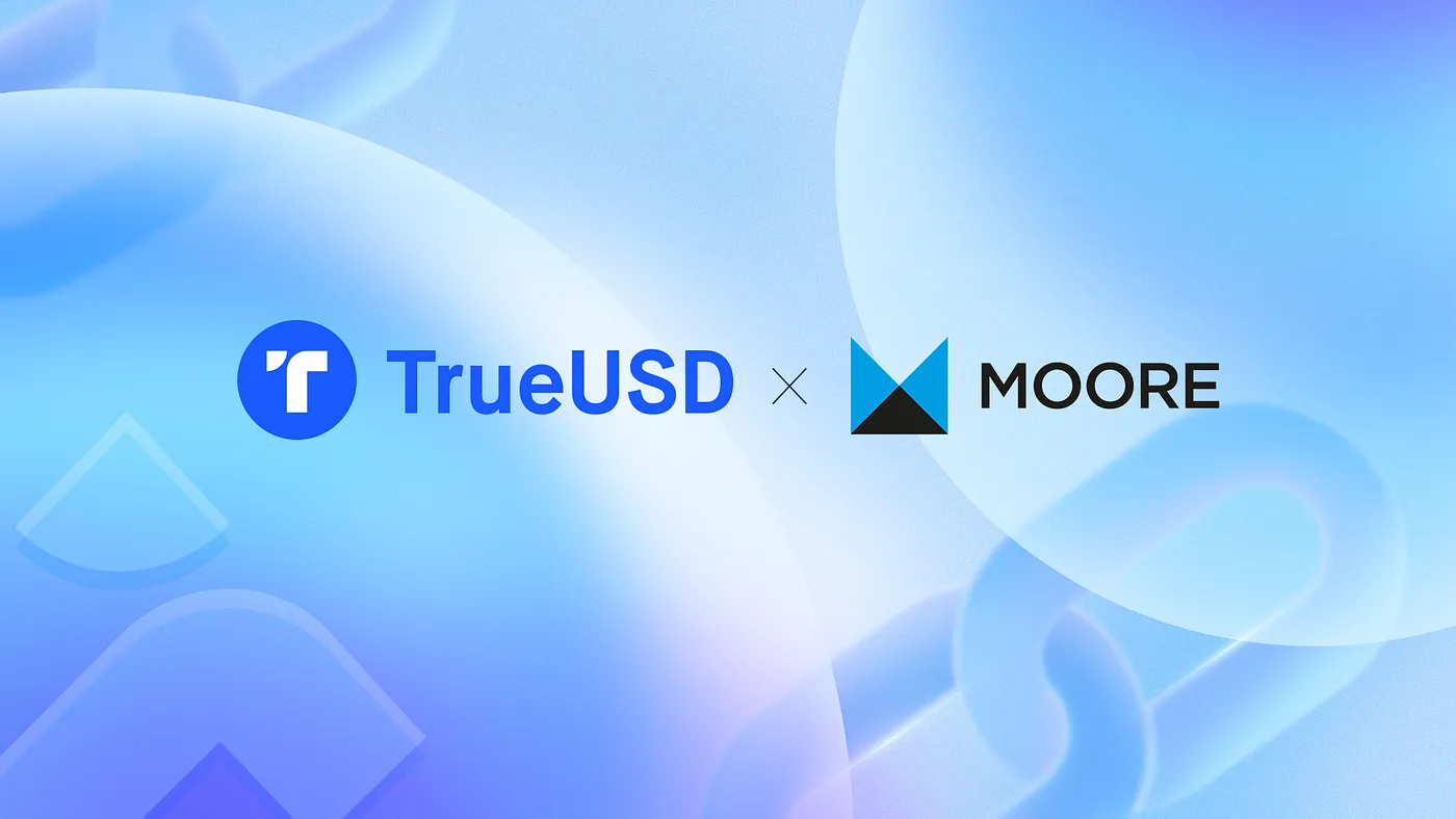 下载tp钱包并安装|香港Moore加盟TUSD审计，盘点龙头稳定币的审计公司有哪些？